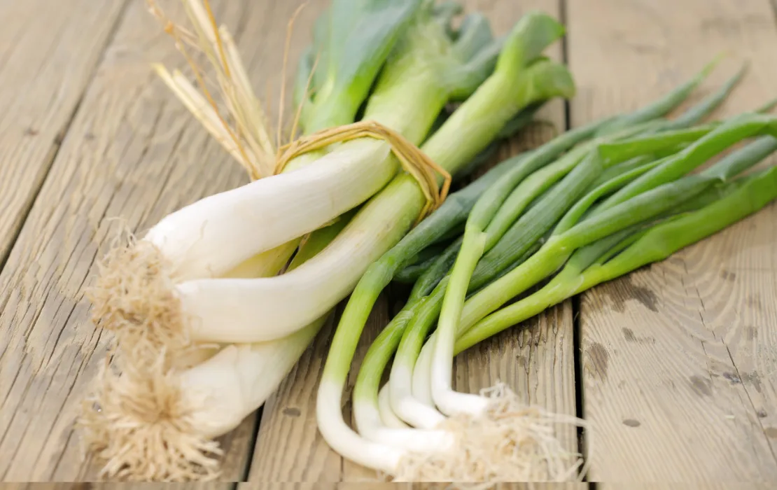 KWS China exporter green scallions green fresh onion