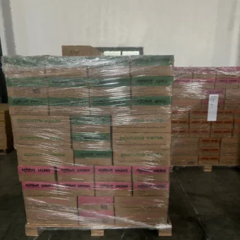 Hot Sale Popular Food low calories 350ml PET transparent canned Fruit Flavor Carbonate drink