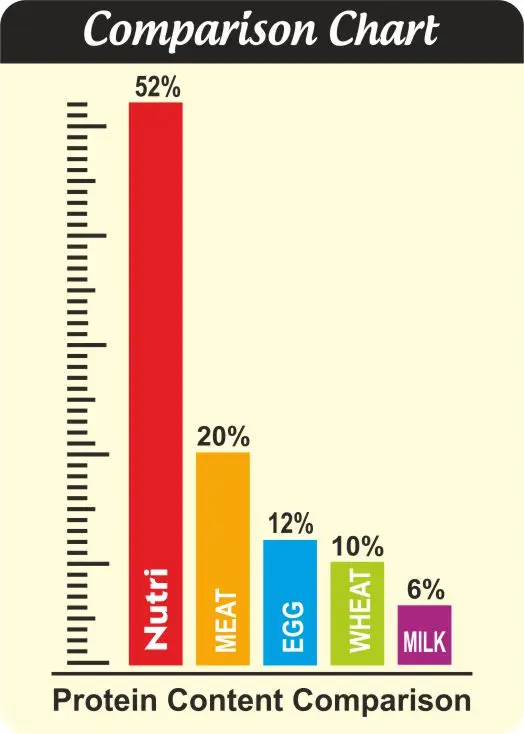 Everin Nutri High Protein and Healthy SOYA Mini Chunks 50 GM
