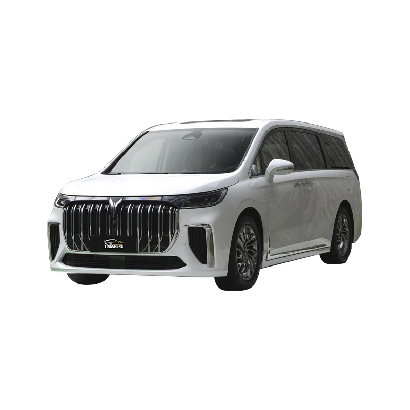Voyah Lantu Dreamer EV 2024 730 км ультра дальний выпуск Mengxiangjia Белый Новый Dream Mpv электромобиль
