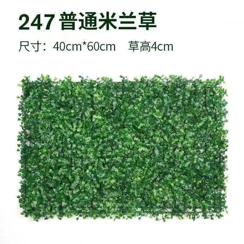 21185001.jpg