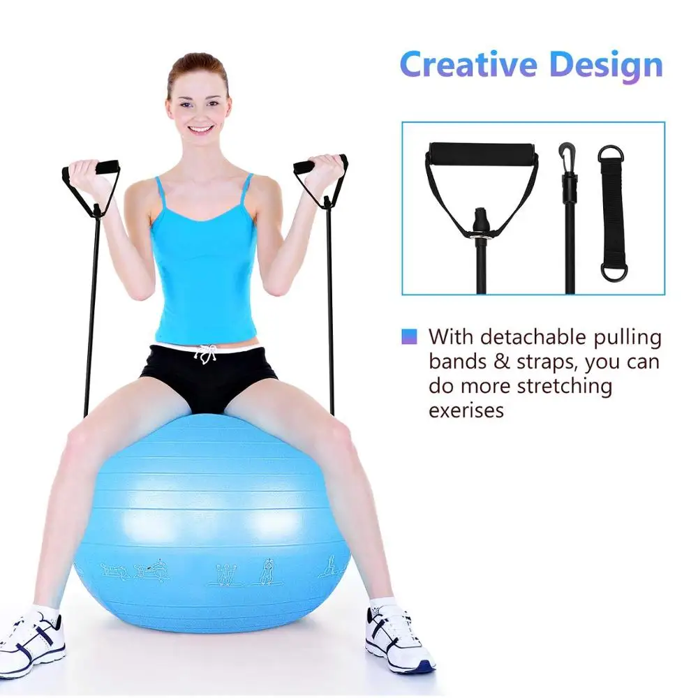 Exercise Ball for Yoga Stability Fitness Balance Birthing Workout Ball Chair with Quick Pump and Resistance Bands for Office