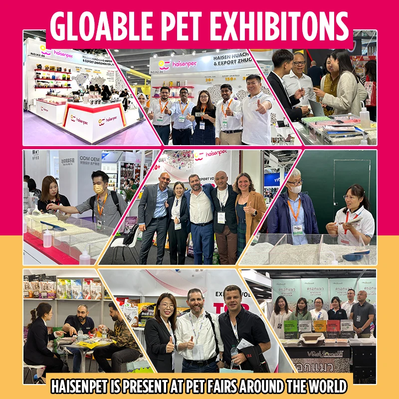 Free Samples Arena Para Gatos Long-Lasting Deodorization Clumping Cat Litter