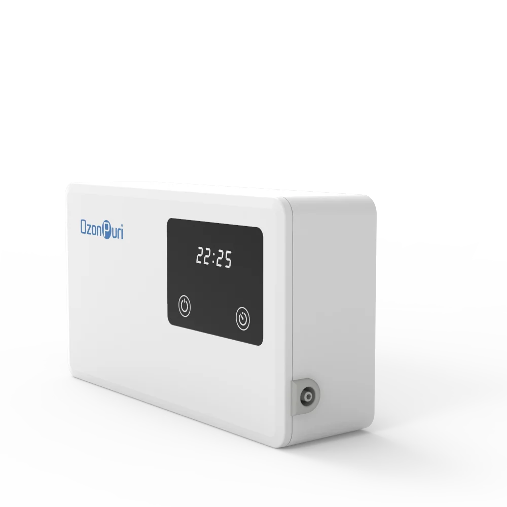 500mg/h 220V Home Use Ozone Machine OZ-1 Electric Vegetable Purifier for Disinfecting Food Small Size for Household Use
