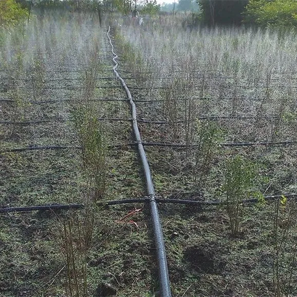 Irrigation System Agriculture Fast Shipping Rain Hose Irrigation System Micro Spray Tape