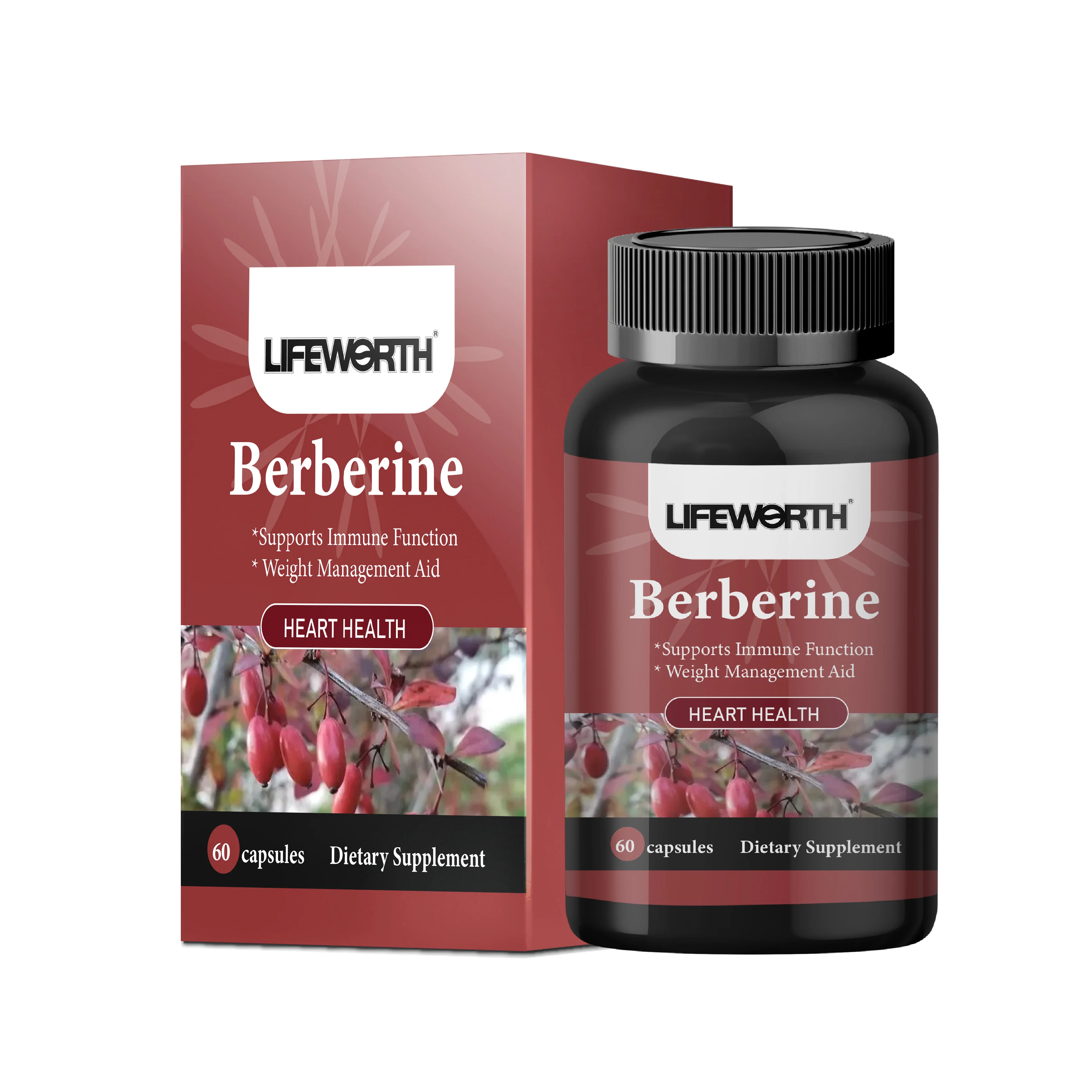 LIFEWORTH private label berberine 98% high strength berberine hcl 500mg capsules supplements Speed up glucose metabolism blood s