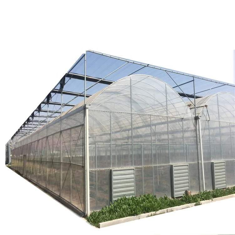 Gewachshaus Tunnel Greenhouses with Agriculture Equipment and Tools