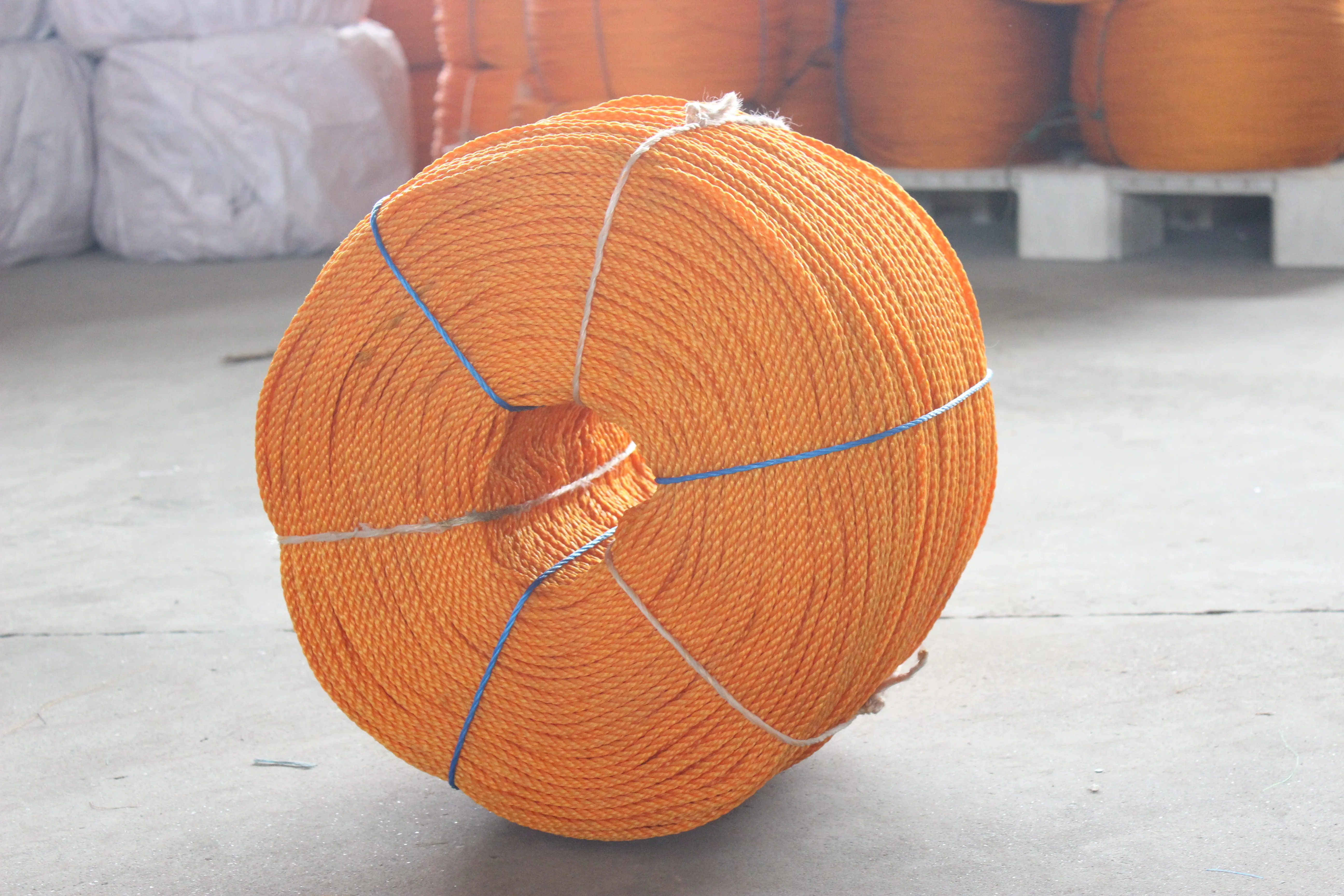 UV resistant Polyethylene PP monofilament marine Fishing rope and twine for Fish nets ,Seine & Gill & Cast nets and Batting ca