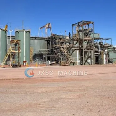 Professional Leaching System Oxide Type Reef Gold Processing Extraction Separating Complete Cyanide CIP CIL Plant