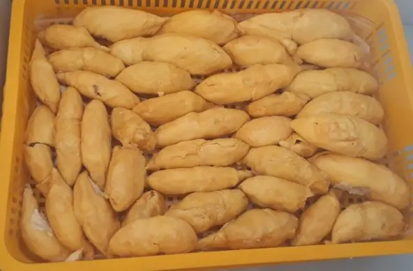 FRESH DURIAN ORIGIN VIETNAM (Ms.Holiday 84 845 639 639)