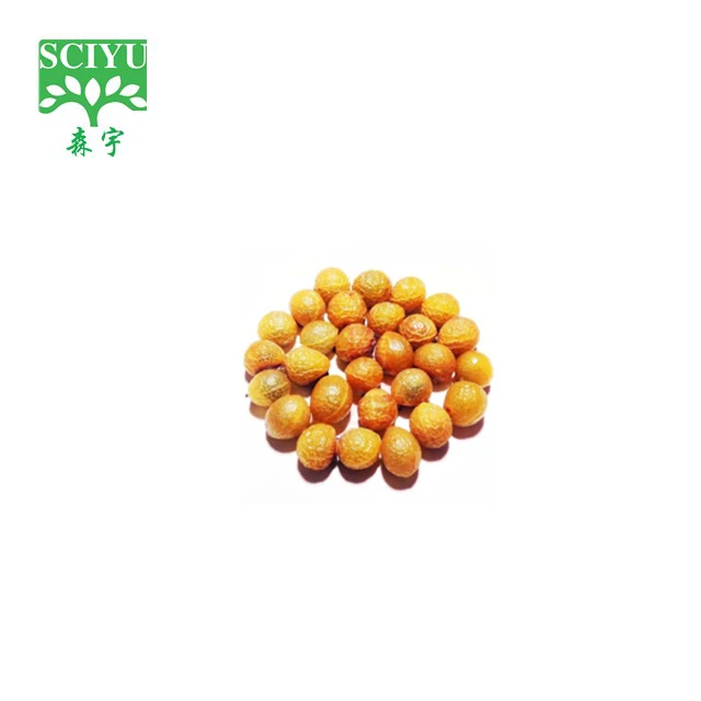 Sapindus Mukurossi Extract Soap Nut Powder Chinese Soapberry Fruit Extract Powder 40%-70% Saponins