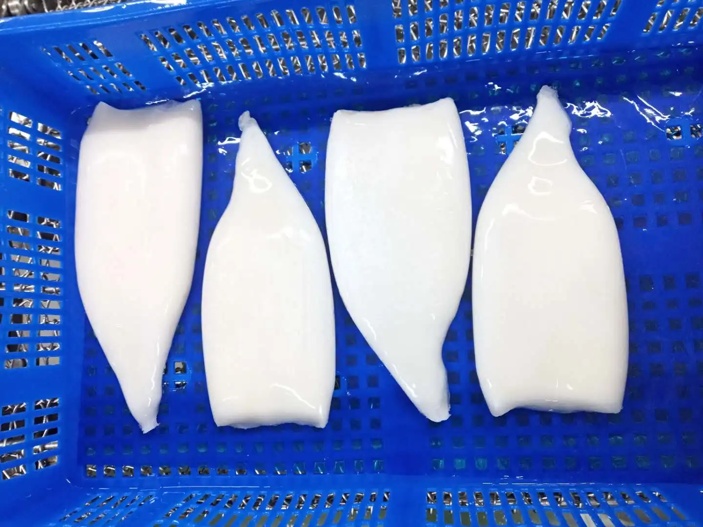 2021 Hot Sale Sea Frozen Squid Tube Giant Squid All Size