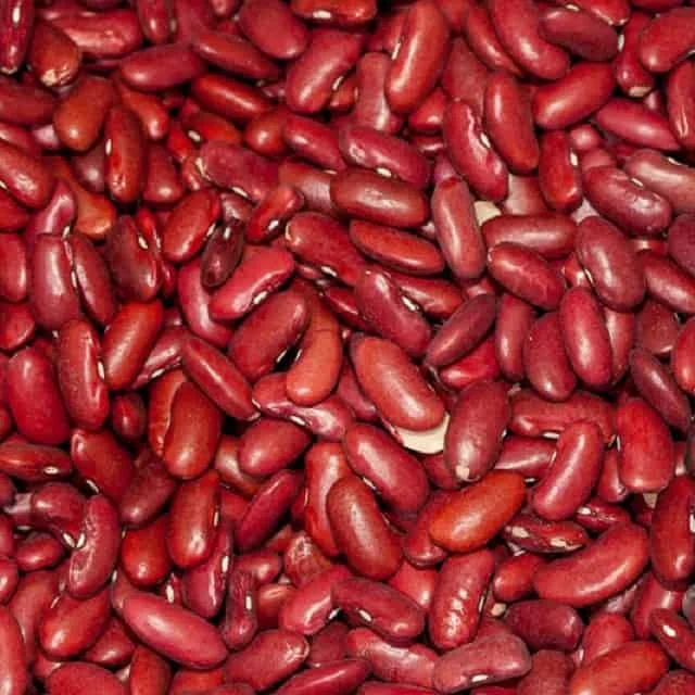 Wholesale Dried Dark Red Kidney Bean for Canned Food available to export in bulk quantity