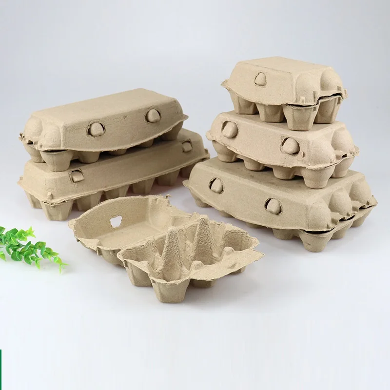 Best Selling Disposable Bio-Degradable Foam Egg Tray 6/8/10/12/15/30 Cells Recyclable Factory Wholesale Food Packaging Storage