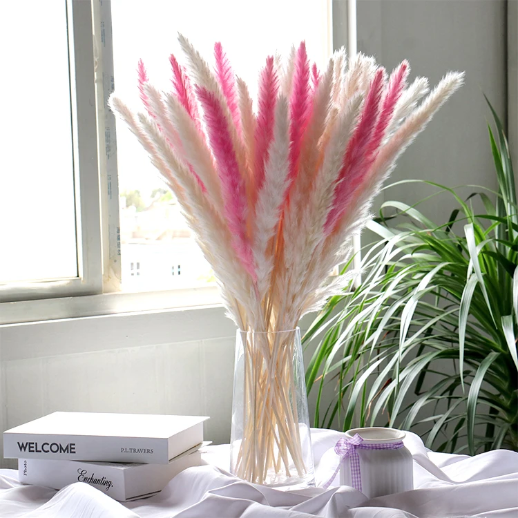 
AX3 amazon amazon 2021 new arrivals natural dried flower artificial flowers small pampas pampa grass decorative flowers 