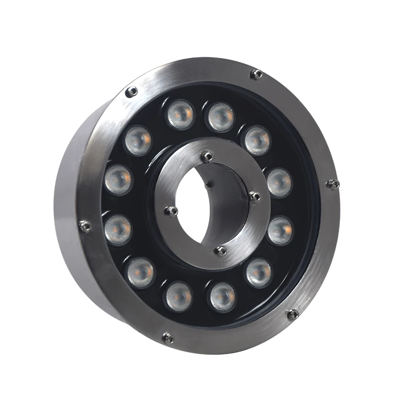 12W Ring Ss Submersible 12V Water Dmx Control 24V  Colorful Led Fountain Light Fixtures Pond Led Underwater Light For Fountains