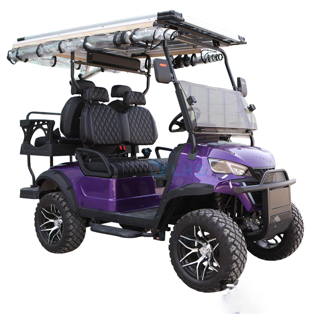 Fast selling old buggy golf car premium golf trolley electric lux electric utility golf cart with curtis controller