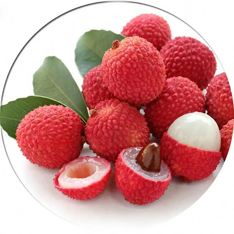 NEW CROP 2021 FRESH LYCHEE FRUIT WITH BEST QUALITY