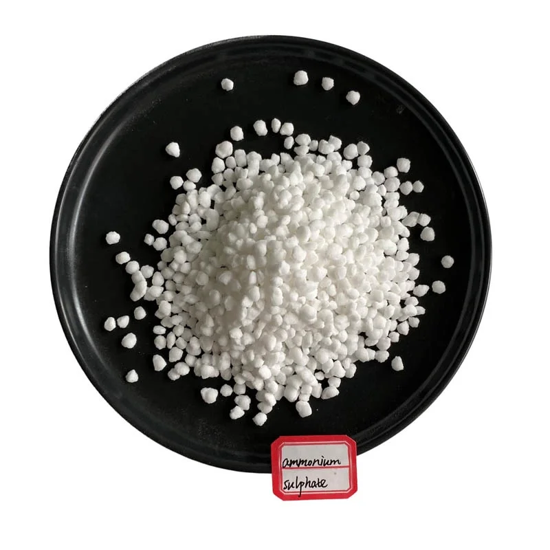 Agriculture Grade Granular Ammonium Sulphate sulfate fertilizer Urea manufacturer for sale Granular Ammonium Sulphate Fertilizer