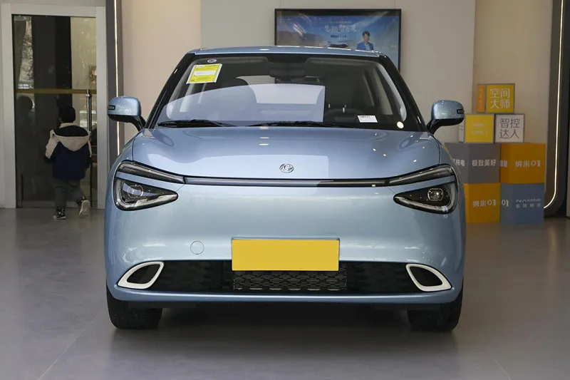 2024 новый продукт взрыв Dongfeng Nano 01 330 Новый энергетический автомобиль чистый электрический Nammi электромобили для продажи