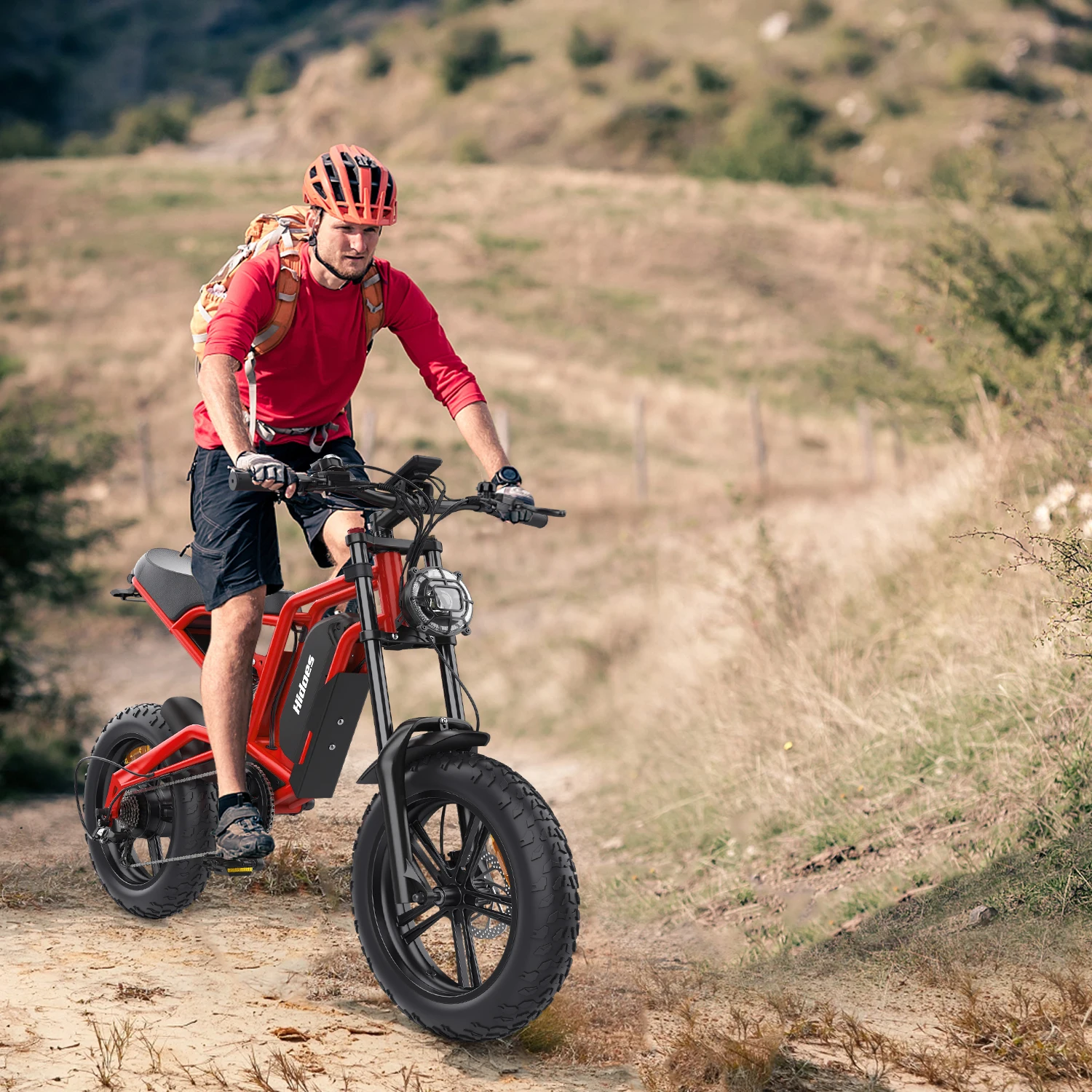 Directly from Factory mountain bike fat tire snow bike, Hidoes B6 Emtb, Wholesale 20 Wheel Size Mountain Bike