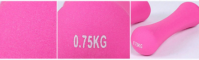 Customized Dumbbell 0.5kg 1kg 1.5kg 2kg 3kg Sports Fitness Equipment Commercial Dumbbells Home Gym Use