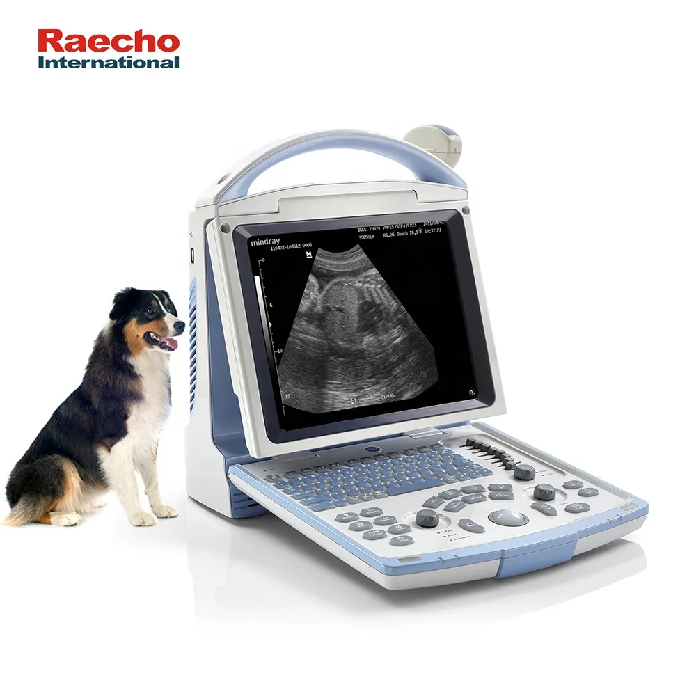 Hot Selling Mindray DP10 Vet Ultrasound Machine Ultrasound Scanner for Veterinary