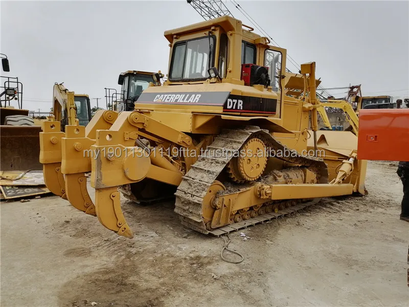 cat d7r (3).jpg