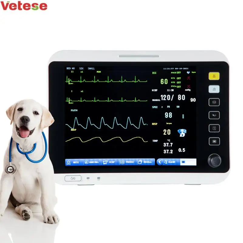 yonker patient monitors 12.1inch portable Vet Multi-parameter Patient Monitor and  6 Multiparameter Veterinary monitor