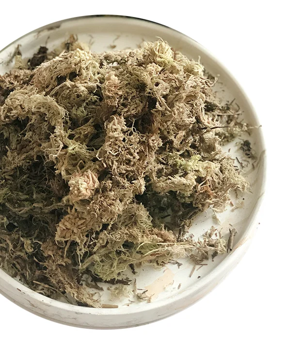 Chilean sphagnum moss long fiber sphagnum peat moss buy moss sphagnum