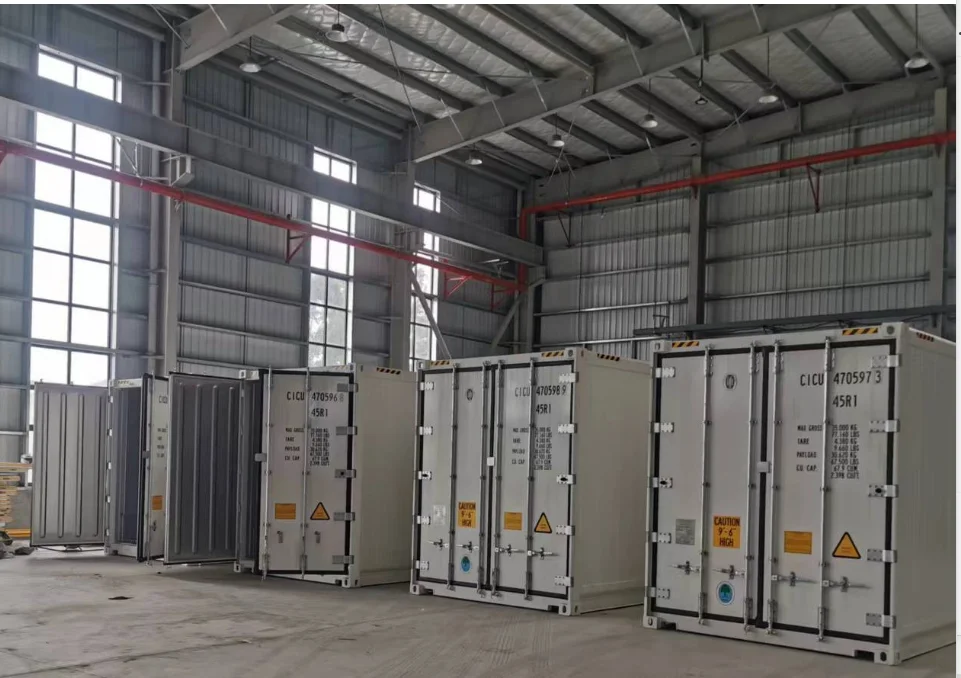 Pro-Leaf Fully automated turnkey system microgreen/strawberry/herb/lettuce/Medicinal materials/mushroom/canna container farm