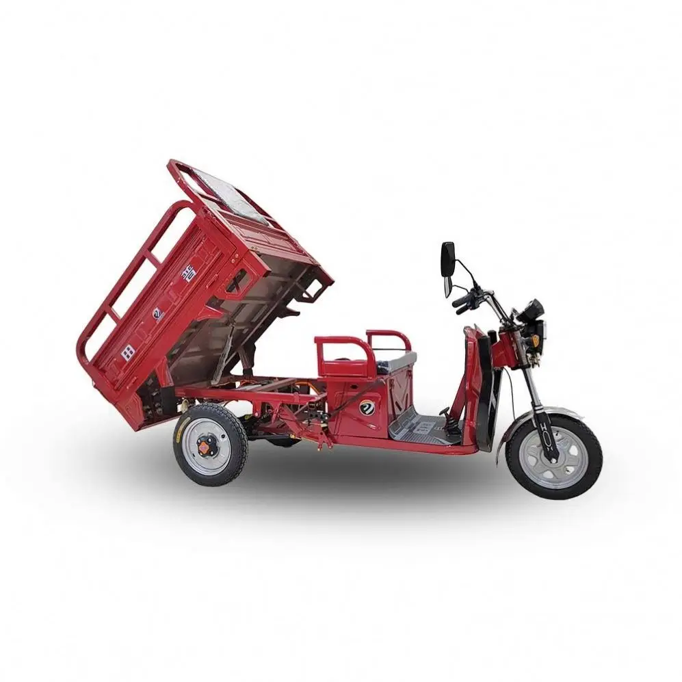 Well 1.5M Trike 300cc 60V Electric 3 Wheel Motorcycles for Adults Cargo Bike 1000kw Gn 125 Motorcycle