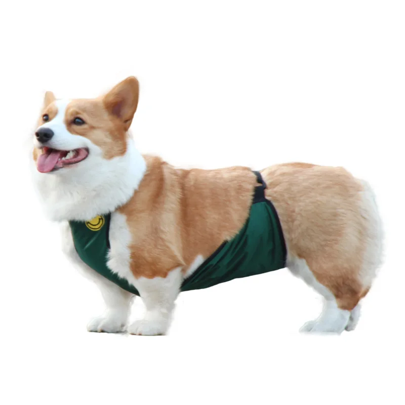 Pet Clothes Dog Belly Cover Apron Waterproof Vest for short leg dog