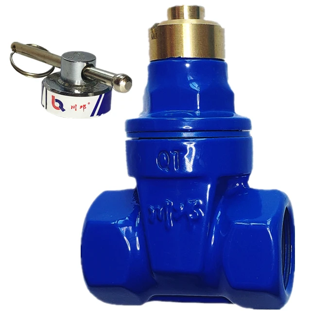 Gate valves supplier blue cast iron control water valve accessories miniature knife gate valve environmental protection