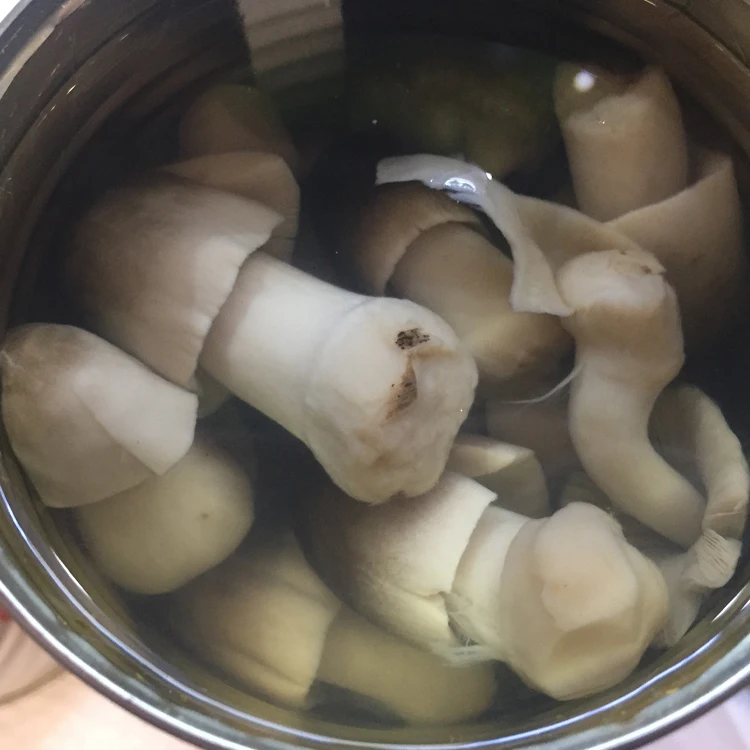canned chinese straw mushroom whole in brine