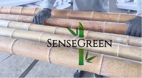 Moso оптовая продажа большие круглые бамбуковые столбы Натуральный Необработанный бамбук для строительства и украшения