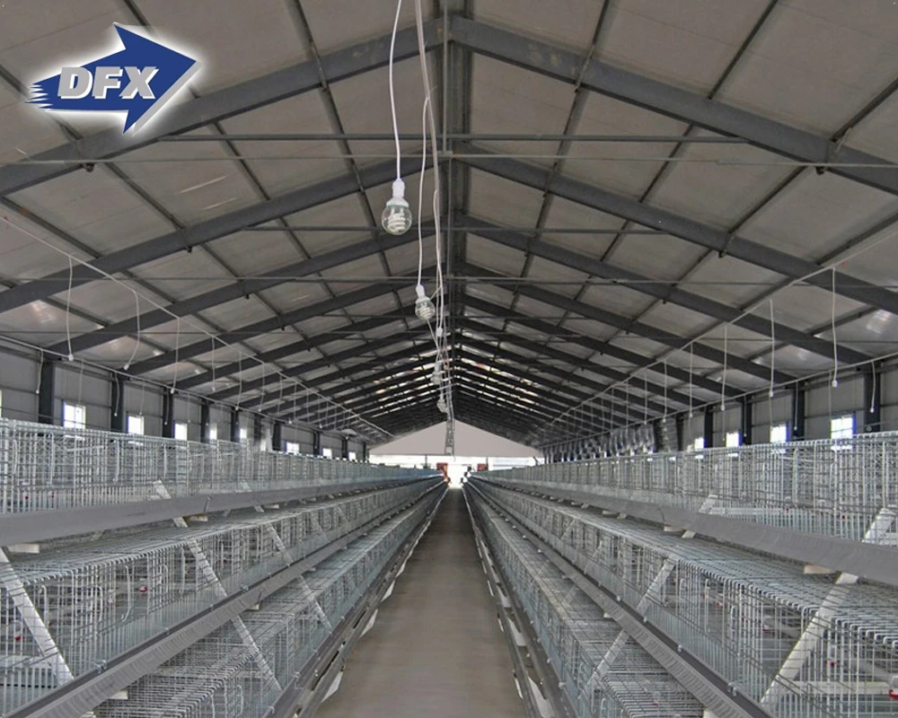 China steel frame layer poultry farm shed structures construction design building