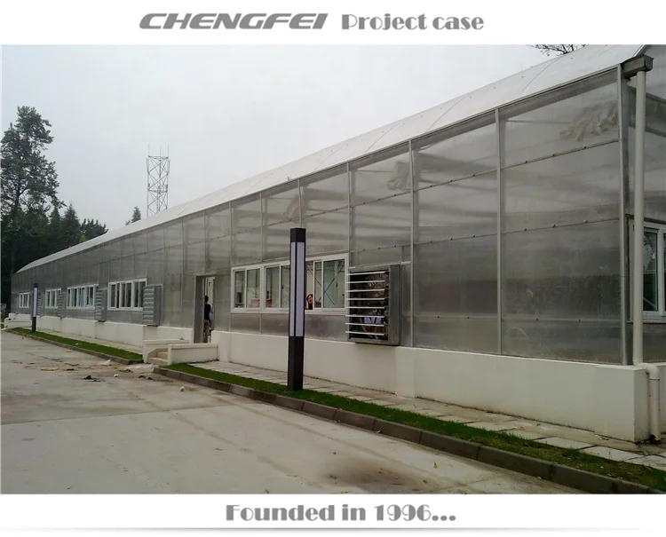 Multi-span invernadero low cost rain shelter polycarbonate agricultural greenhouse supplier for sale