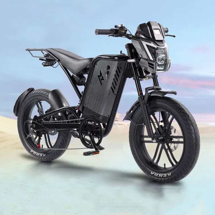 2024 New Wide Fat Tire Snow Electric Bicycle Motorcycle Retro Beach Two Wheel Power Assisted Foot E-BIKE