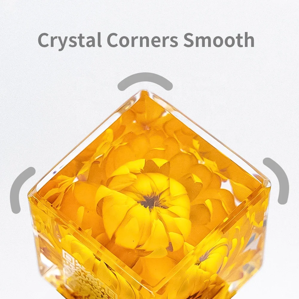 Epoxy real insects in resin specimen real animals Scorpion paperweight resin cube wholesale taxidermy novelty gifts