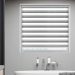 Современные стильные двойные роликовые затемняющие полосатые роликовые жалюзи, водонепроницаемая полупрозрачная затеняющая система «все в одном» (Bead)