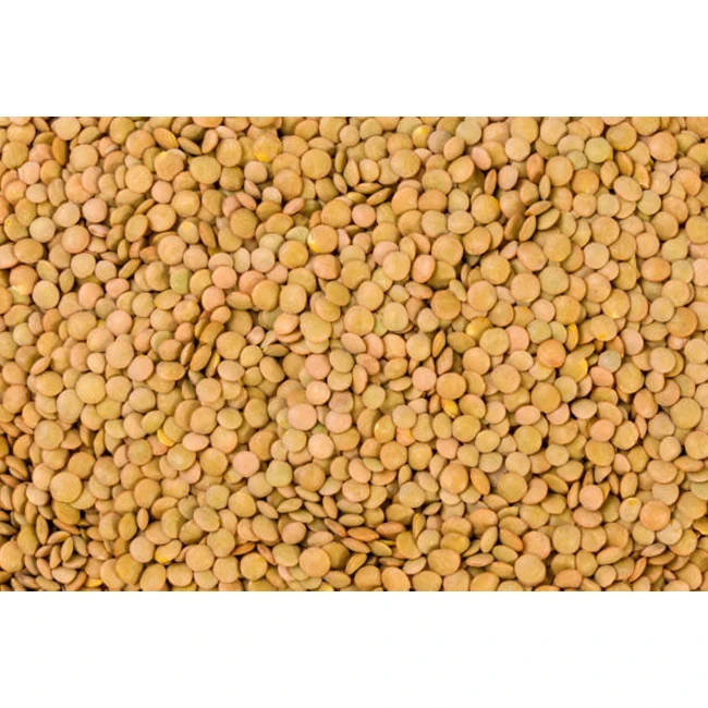 Высококачественная линза Richlea-высокое качество, Лучшая цена, непосредственно от производителей в Мексике