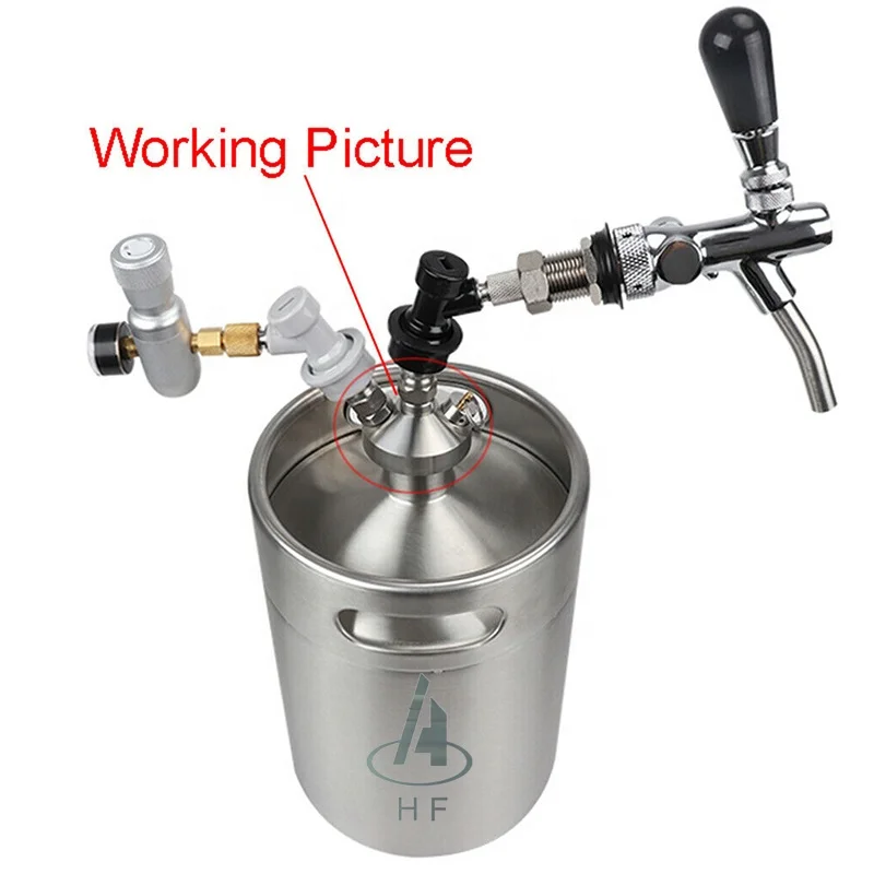 Home Keg Kit System mini keg 5L  Draft Beer Growlers for Water, SodaBrew Nitro Cold Brew Coffee Maker