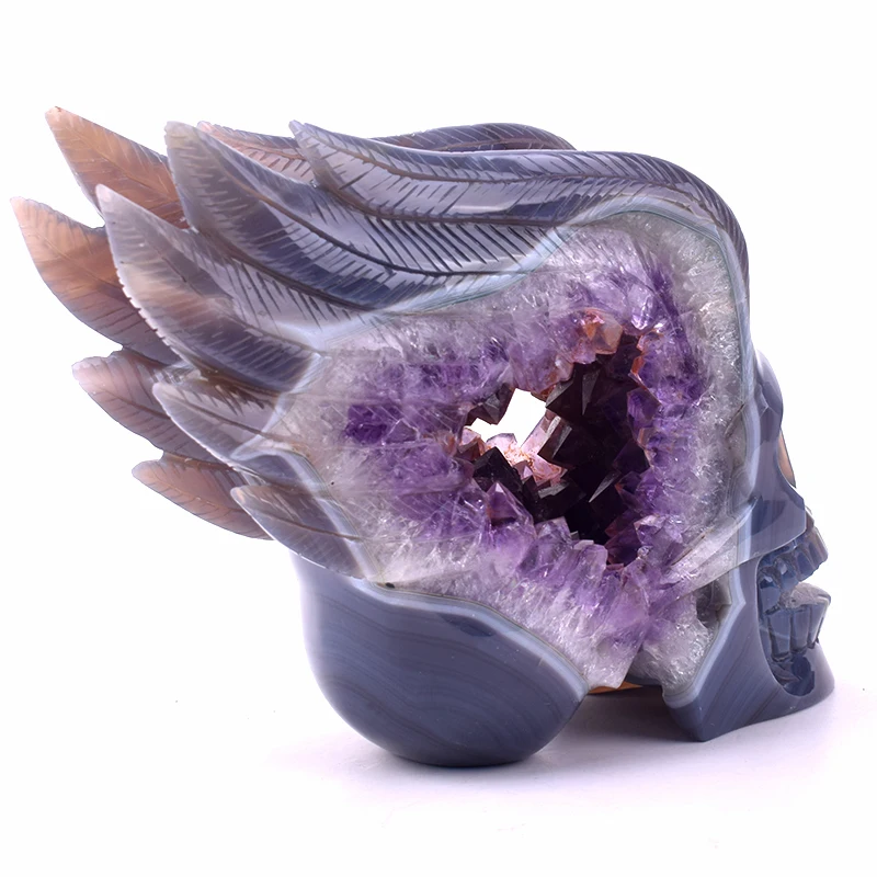 
Wholesale Natural Hand Carved Exquisite Winged Crystal Skull Amethyst Crystal Cave Agate Skull with Wing 
