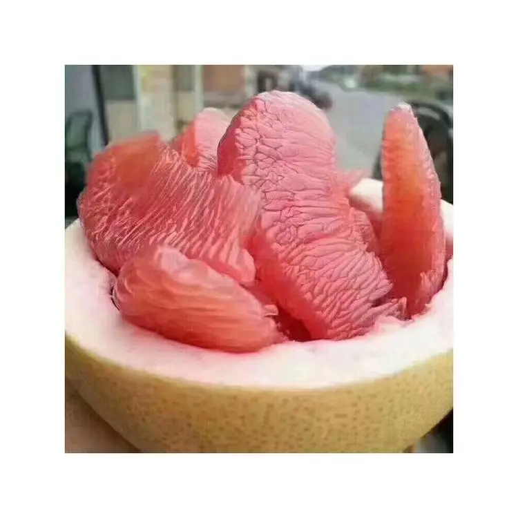 Natural Sweet Taste Fresh Pomelo Brix 10 - 13% Size 1.0kg to 1.8kg Export Standard