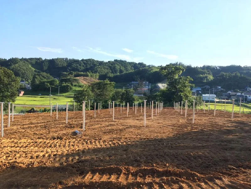 Горячеоцинкованный заземляющий винт с фланцем сверху