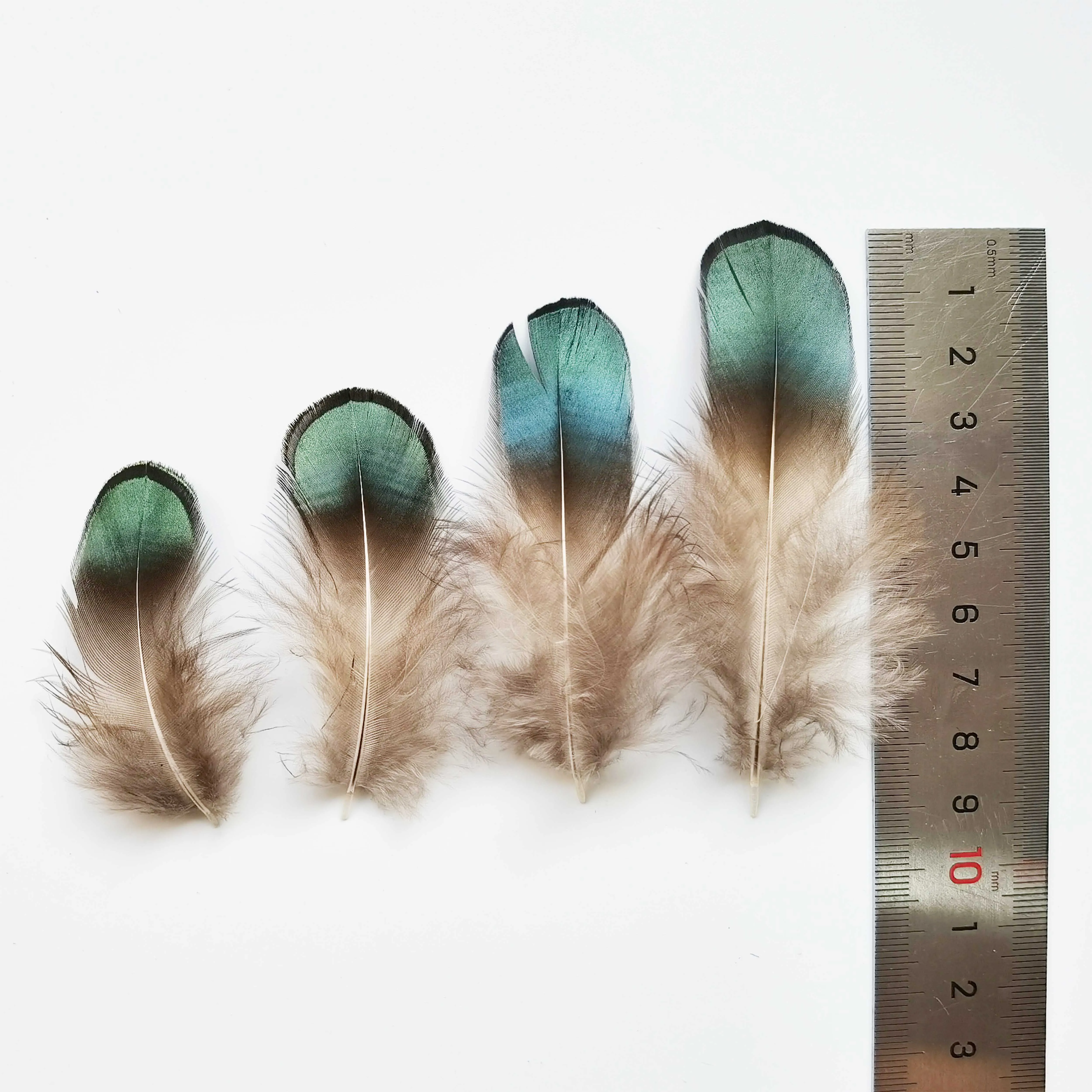 Happy Feather 100 pcs Green Pheasent Plumage Feather For Sewing Crafts Clothing Decorating Accessories