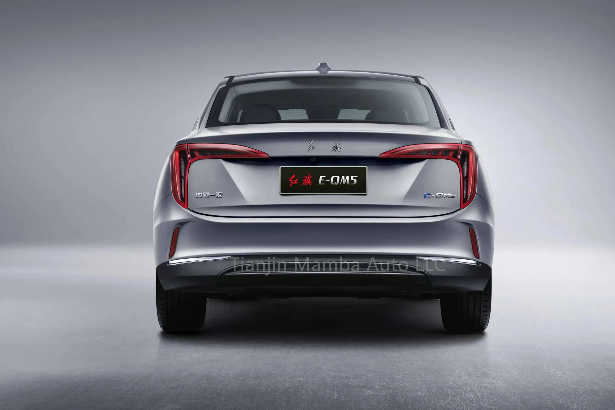 HONGQI New Electric Vehicle Electric Vehicle Hot Sale in China Electric Vehicle Charging Cable Assemblies