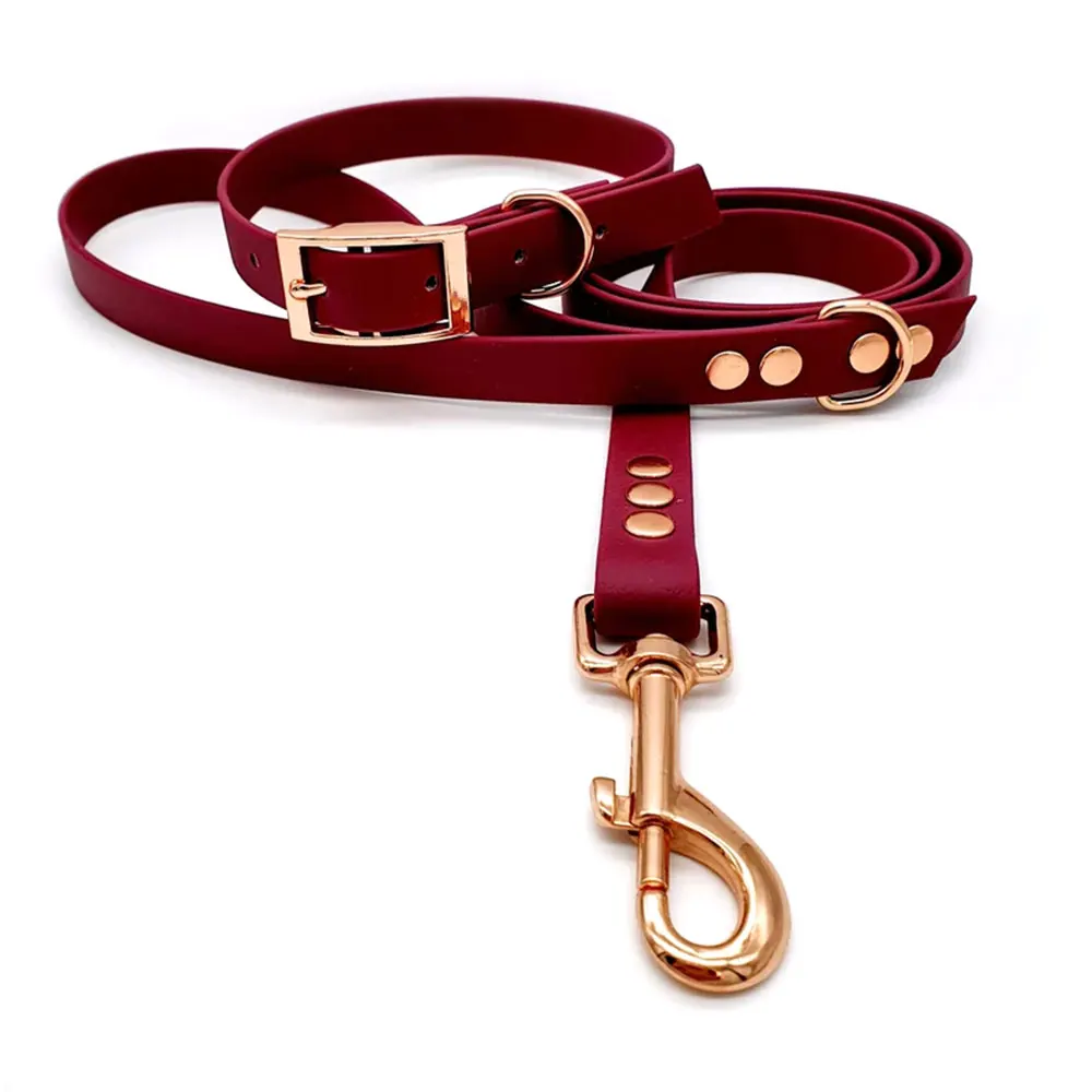 2023 High Quality Design PVC Neck Divtop Pet Collar&Leash Waterproof Coated Webbing Pet dog Leash And Collar