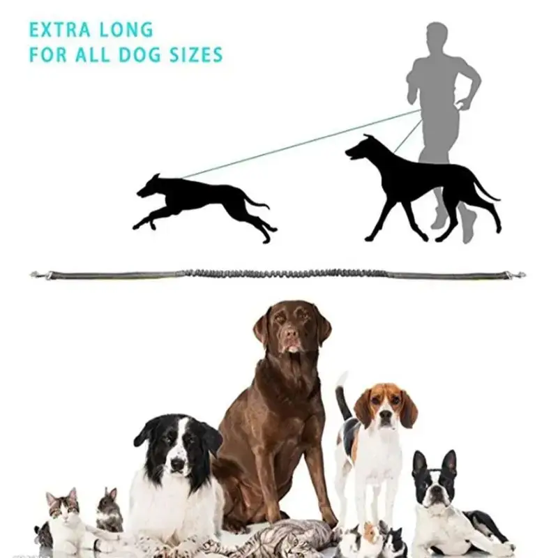 Hot selling adjustable hands-free dog belt for running, cycling, climbing reflective dog lead rope